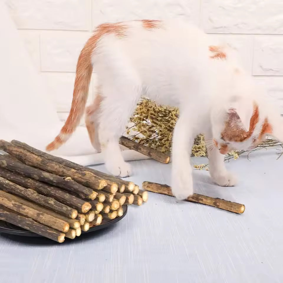 Natural Matatabi Cat Chew Sticks - Silvervine Catnip Dental Toy, 15-Pack