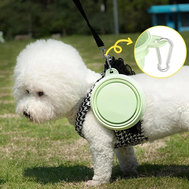 Collapsible Travel Bowl for Pets