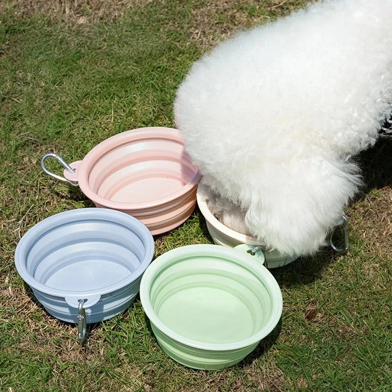 Collapsible Travel Bowl for Pets